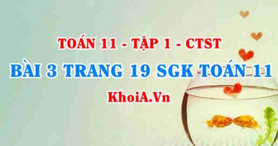Bài 3 trang 19 SGK Toán 11 Tập 1 Chân trời sáng tạo